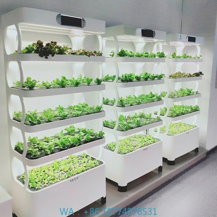 Hydroponic Automated Grow Syst - Home Automation Systems Diy review and price
